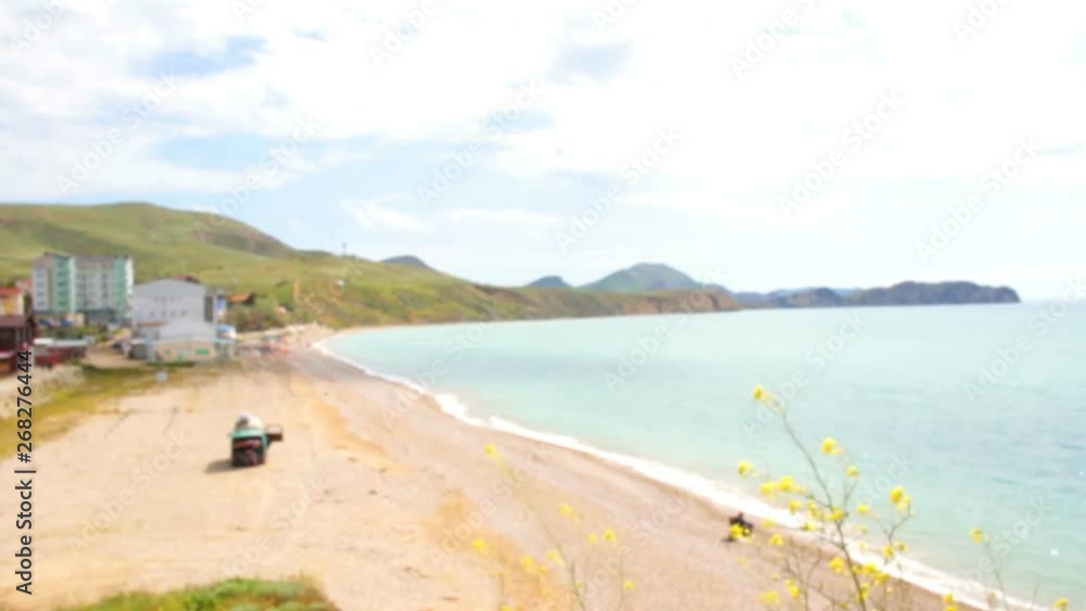 Yellow grass against the blue sea.The beauty of nature.