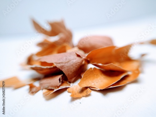 Peanut Leaf s isolated on white background