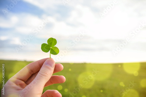 Green clover leaf in hand on blue sky and green grass background © Ivan