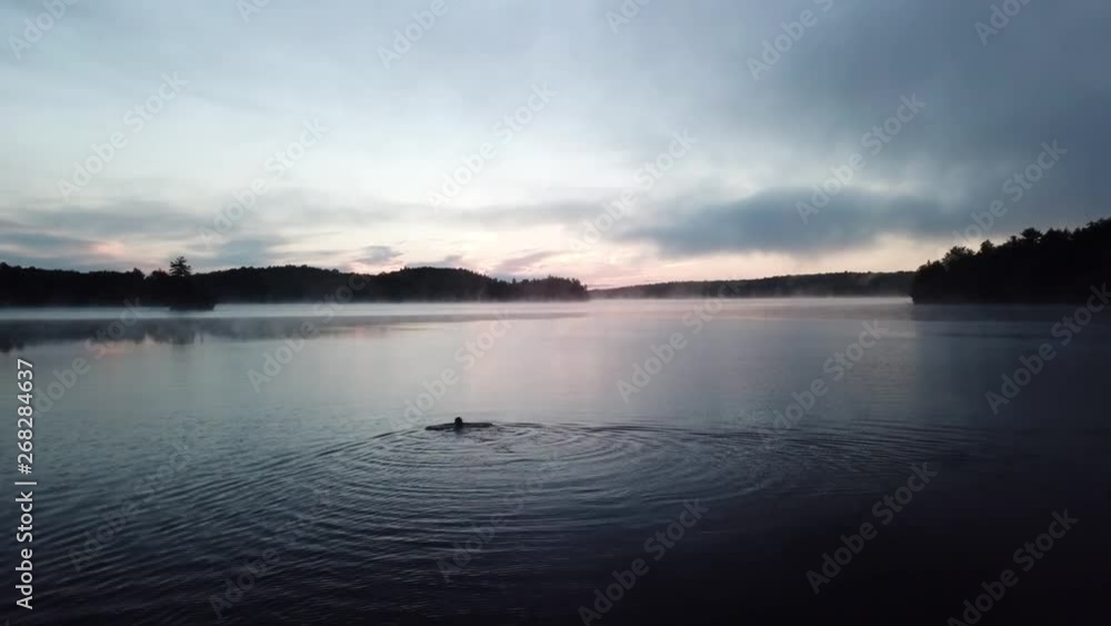 Flying over lake and the swimmer in the morning Flying over lake and the swimmer in the morning
