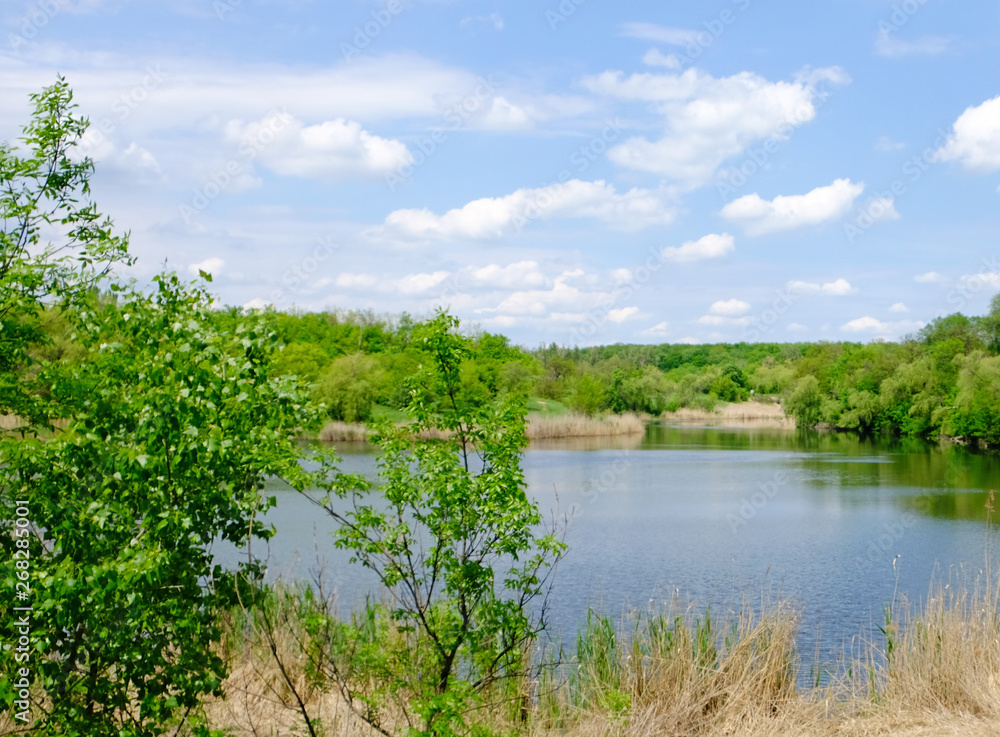 Fototapeta premium Landscape. Spring view of the lake with reflected trees
