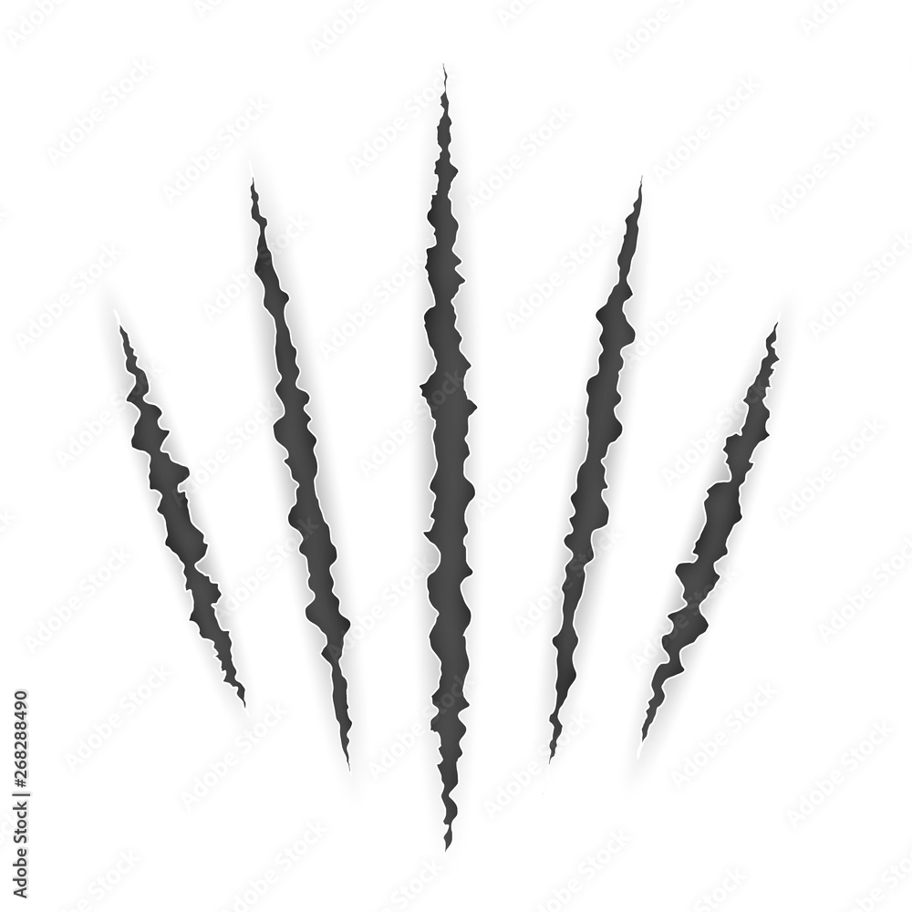 Scratch set. Claws scratching animal scrape track. Vector illustration