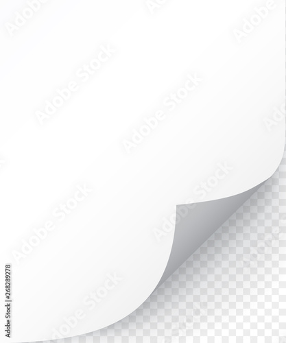 Sheet of paper with curled corner and soft shadow, template for your design. Set. Vector illustration