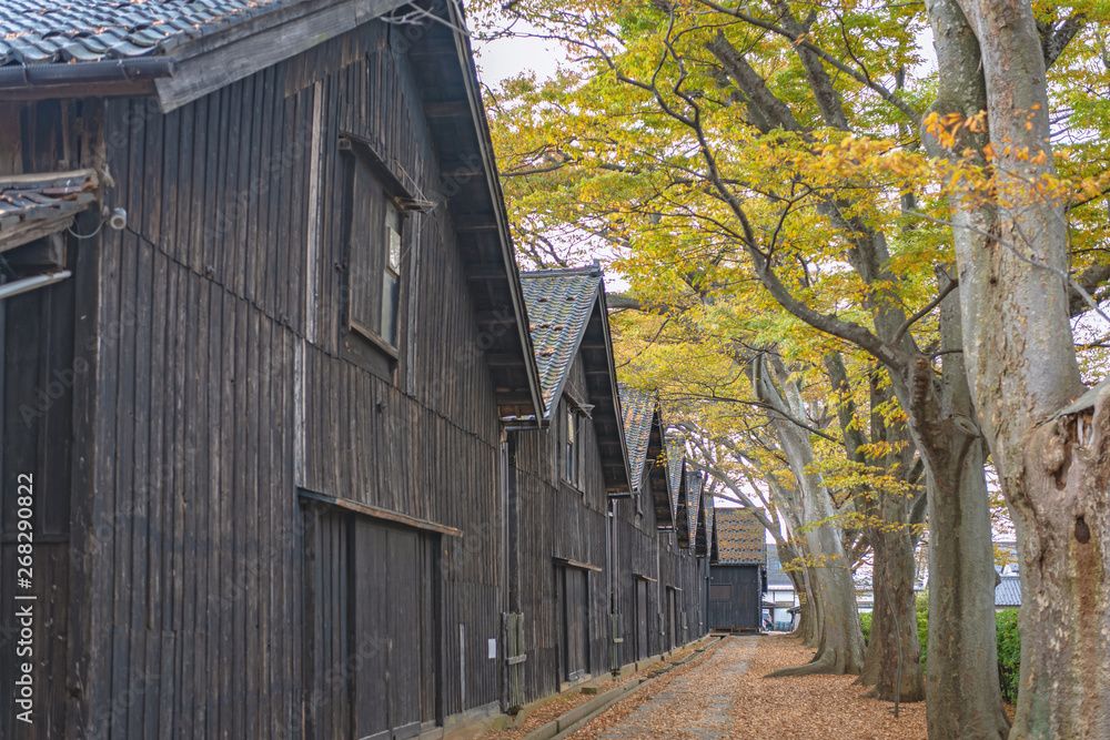 酒田市 山居倉庫の秋景色 酒田市 山居倉庫の秋景色