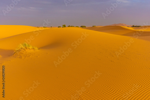 Beautiful landscape of the dunes in the Sahara Desert, Merzouga, Morocco