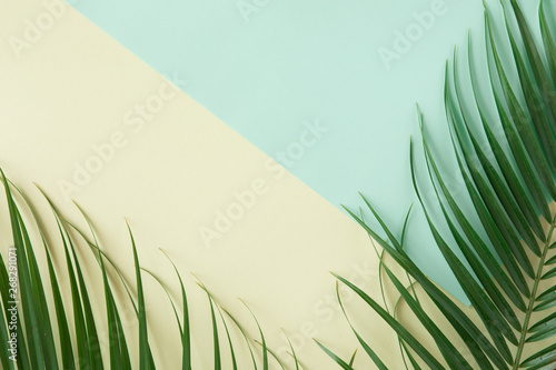 Tropical palm background. Creative layout made of green tropical leaves on bl...