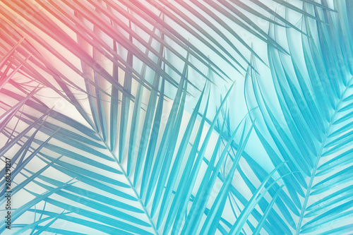 Tropical palm leaves in vibrant neon gradient, holographic colors. minimal art concept.