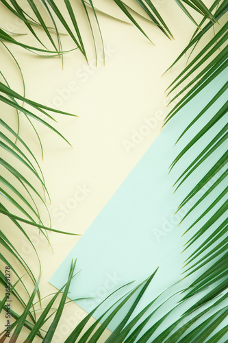 Tropical palm background. Creative layout made of green tropical leaves on bl...