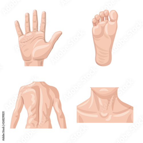 Vector illustration of human and part symbol. Collection of human and woman stock symbol for web.