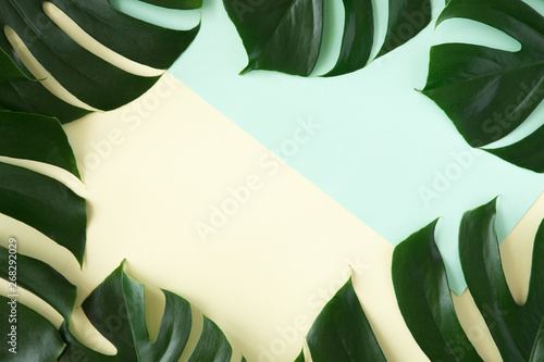 Tropical palm background. Creative layout made of green tropical leaves on bl...
