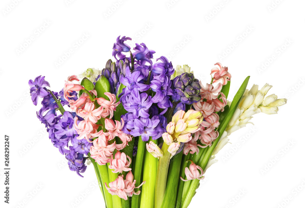 Fototapeta premium Beautiful hyacinth flowers on white background