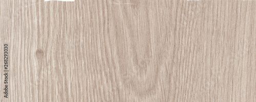 The structure of the laminate decor floor room 1386875 oak Arctic alive natural. Design for Wallpaper, cases, bags, foil and packaging