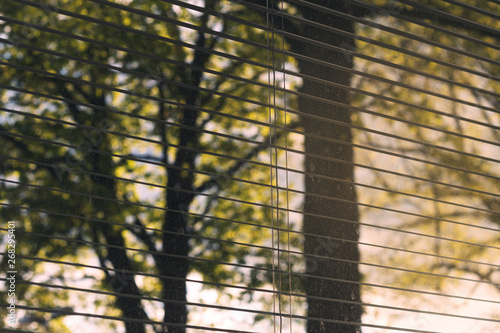 Close up photo of window blinds half open/shut. Beautiful lights with nature and city details showing in background. Dirty window showing.