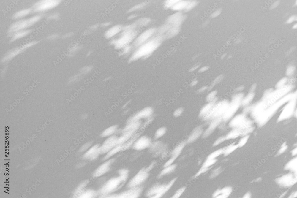 Shadow blur of the leaves on white wall abstract background.