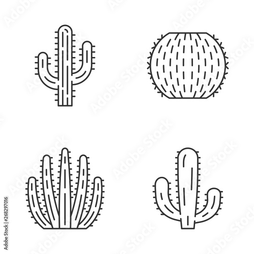 Wild cactus linear icons set