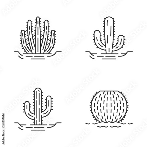 Wild cacti in ground linear icons set