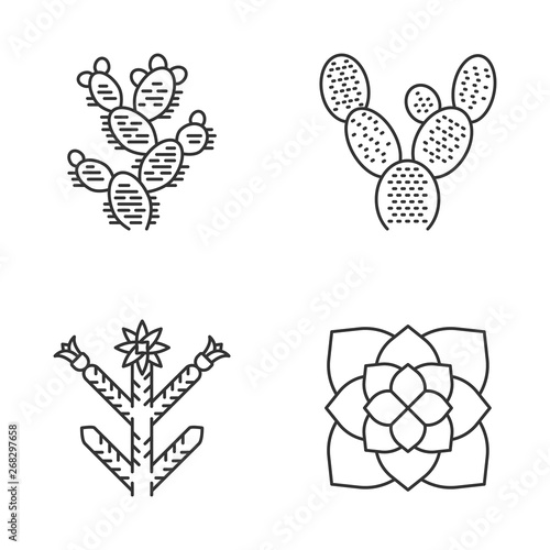 Desert plants linear icons set
