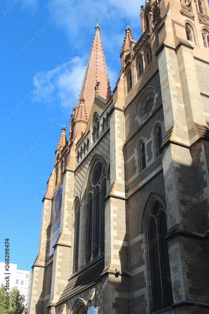 saint paul cathedral in melbourne (australia) 