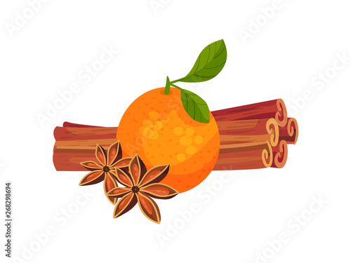 Orange with sticks and cinnamon flowers. Vector illustration on white background.