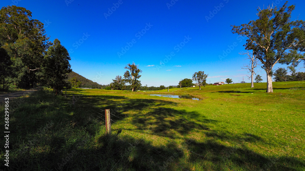 Fototapeta premium Australian Countryside 
