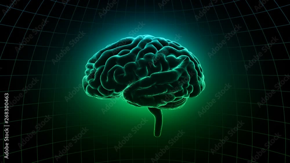 Brain head mind image background. Brain head mind image background.