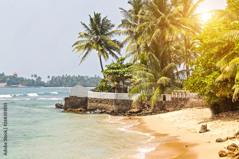 Obraz premium Ocean coast wild tropical beach. Green Palm branches or coconut palm leaves