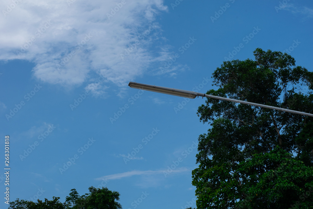 Bright sky in front of trees, light way Bright sky in front of trees, light way