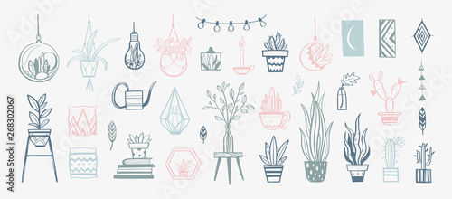 Cozy interior decor Vector elements . Hand drawn house plants and decorations for home