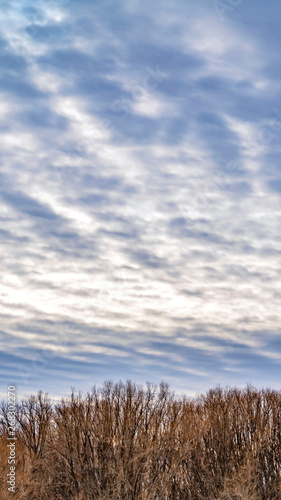 Vertical Breathtaking sky filled with a layer of illuminated puffy clouds in winter