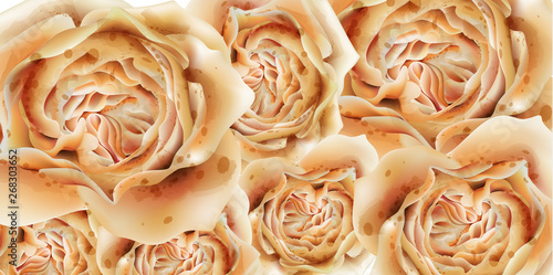 Colorful roses background Vector watercolor. Purple and orange decor florals