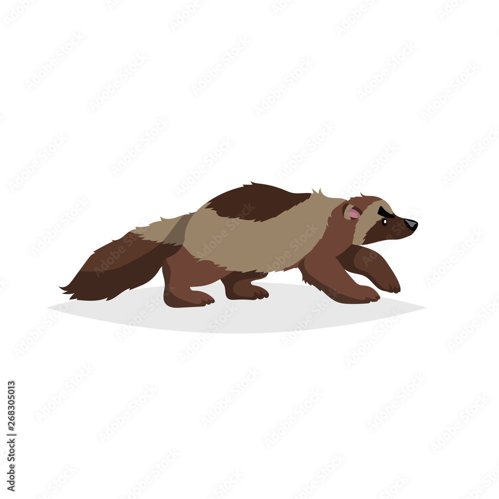 Cute wolverine. Cartoon comic style vector illustration of forest wild animal. Predator, dangerous animal drawing. Europe and north America animal. Stock Vector | Adobe Stock Cute wolverine. Cartoon comic style vector illustration of forest wild animal. Predator, dangerous animal drawing. Europe and north America animal. Stock Vector | Adobe Stock