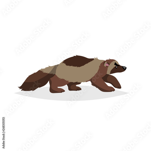 Cute wolverine. Cartoon comic style vector illustration of forest wild animal. Predator, dangerous animal drawing. Europe and north America animal.