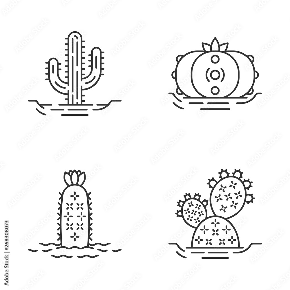 Wild cactuses in ground linear icons set