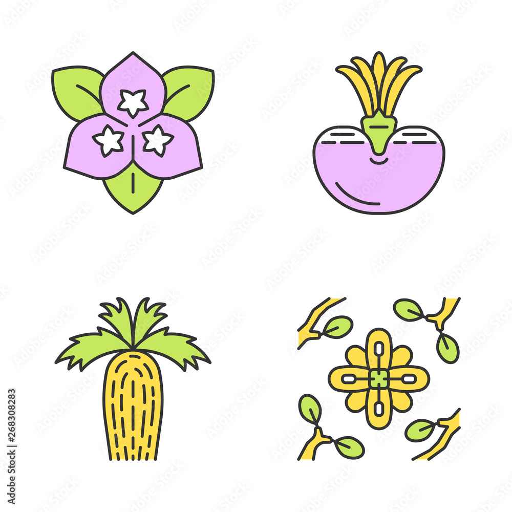 Fototapeta premium Desert plants color icons set