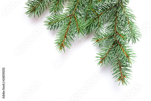 X-mas fir tree branch isolated on white background. Pine branch. Christmas background