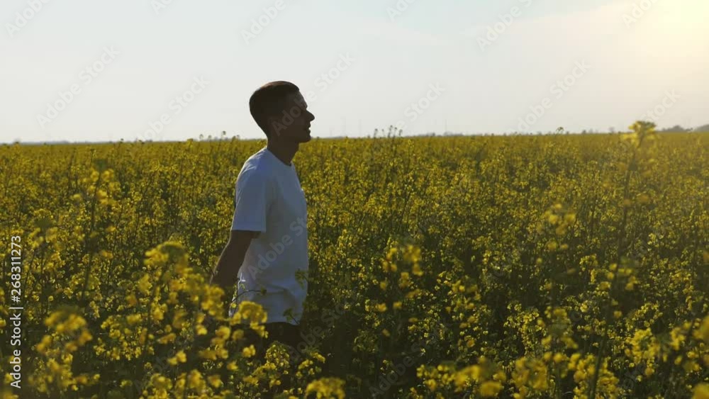 Cheery young man going in a rapeseed field on a sunny day in slow motion  