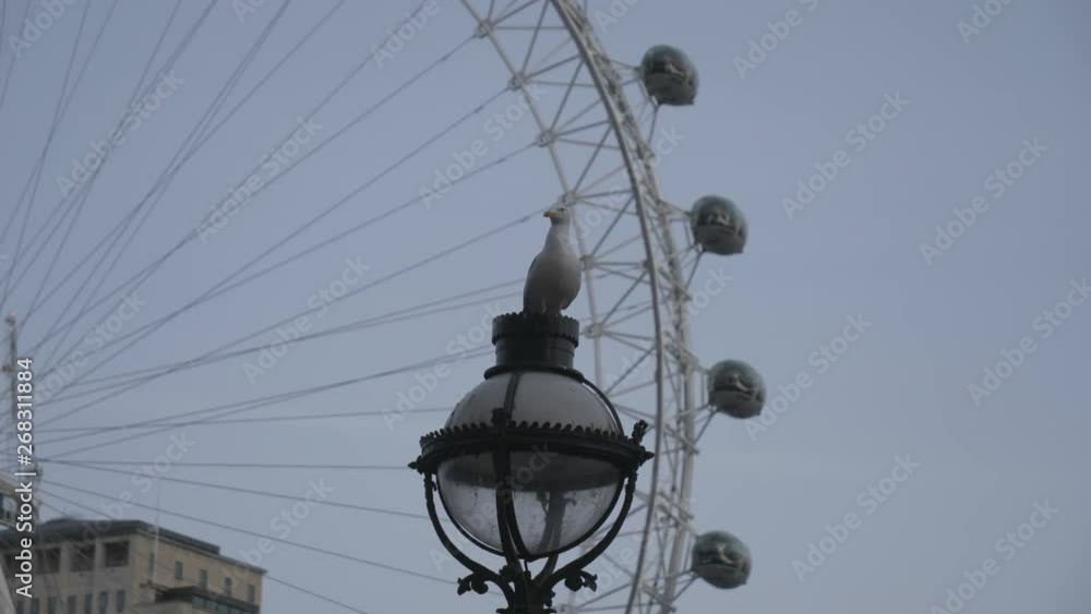 A seagull sitting on a street lantern. A seagull sitting on a street lantern.