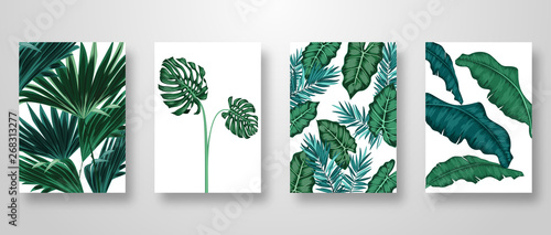 Set Invitation Card Leaves Background