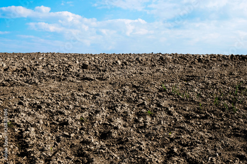 Plowed field isolated in the morning sun in Ukraine. Copy space.