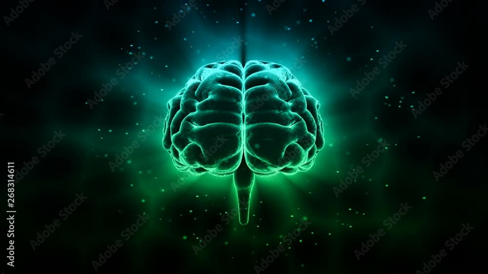 Brain head mind image background. Brain head mind image background.