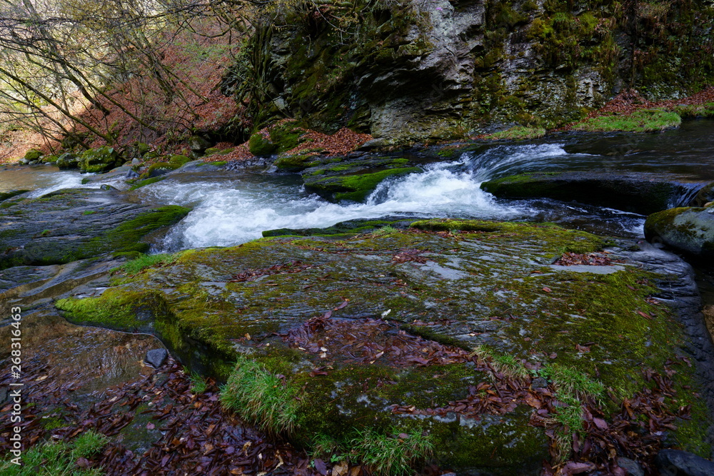 Fototapeta premium Górski potok na wiosnę