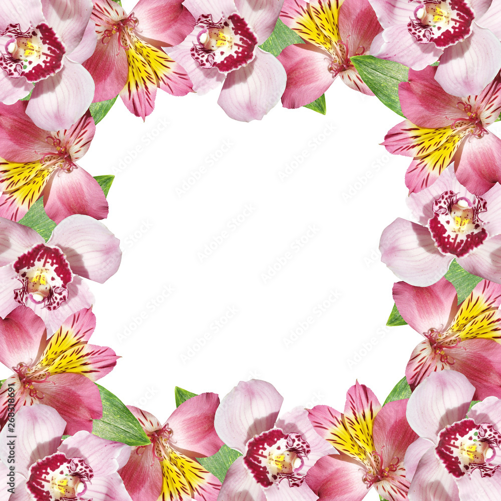 Beautiful floral background of alstroemeria and orchids. Isolated 