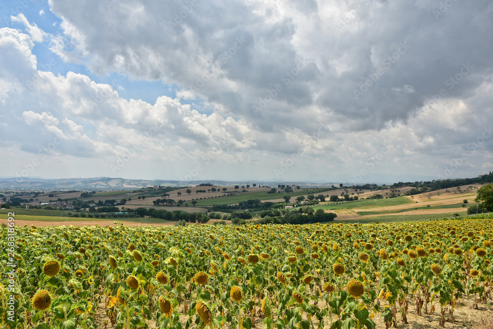 Natural landscape of the Marche region