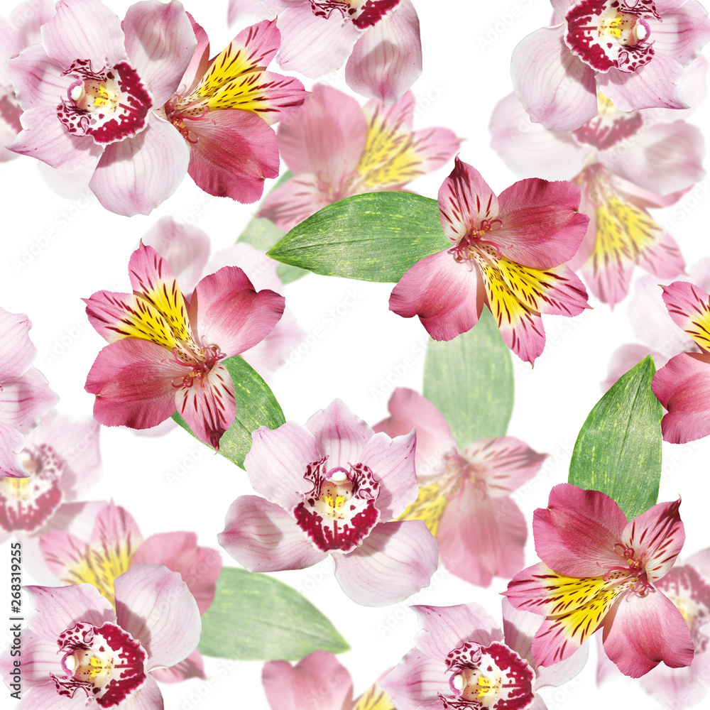 Beautiful floral background of alstroemeria and orchids. Isolated Beautiful floral background of alstroemeria and orchids. Isolated