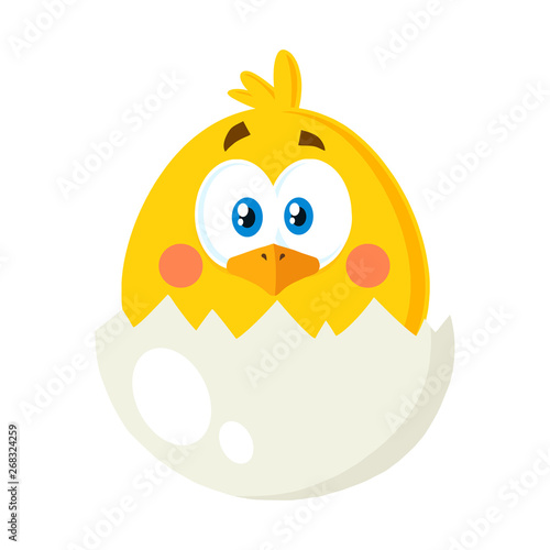 Yellow Chick Cartoon Character Out Of An Egg Shell. Vector Illustration Flat Isolated On Transparent Background