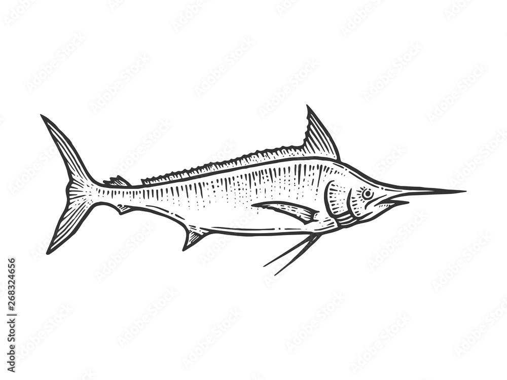 Swordfish marlin sketch line art engraving vector illustration. Scratch board style imitation. Hand drawn image.