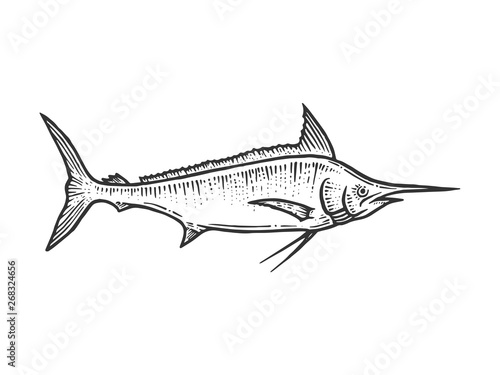 Swordfish marlin sketch line art engraving vector illustration. Scratch board style imitation. Hand drawn image.