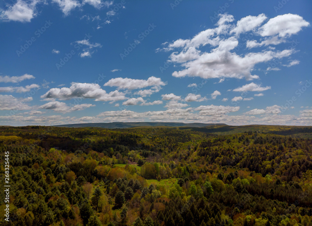 Panoramic view of beautiful landscape in the fresh green forest and a sunny day with blue sky and clouds in springtime