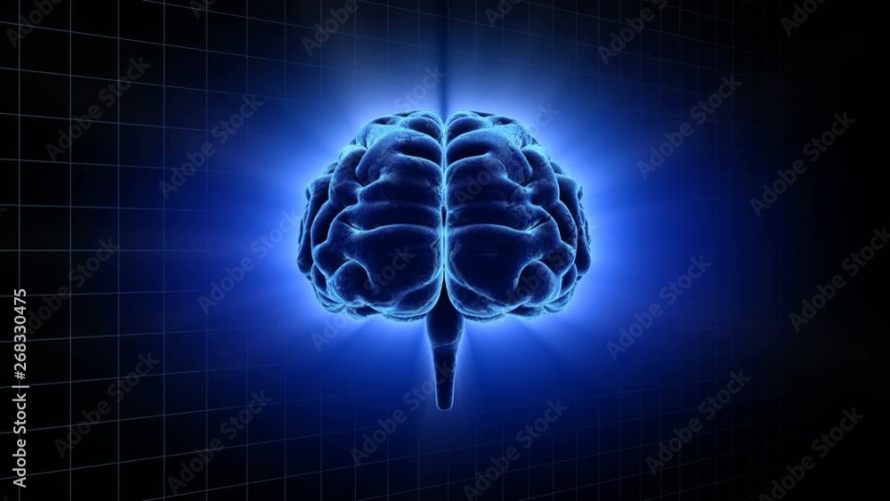 Brain head mind image background. Brain head mind image background.