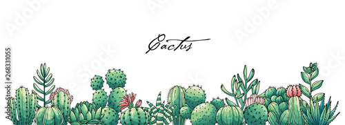 Big set et of elements with hand drawn colored cacti and succulents